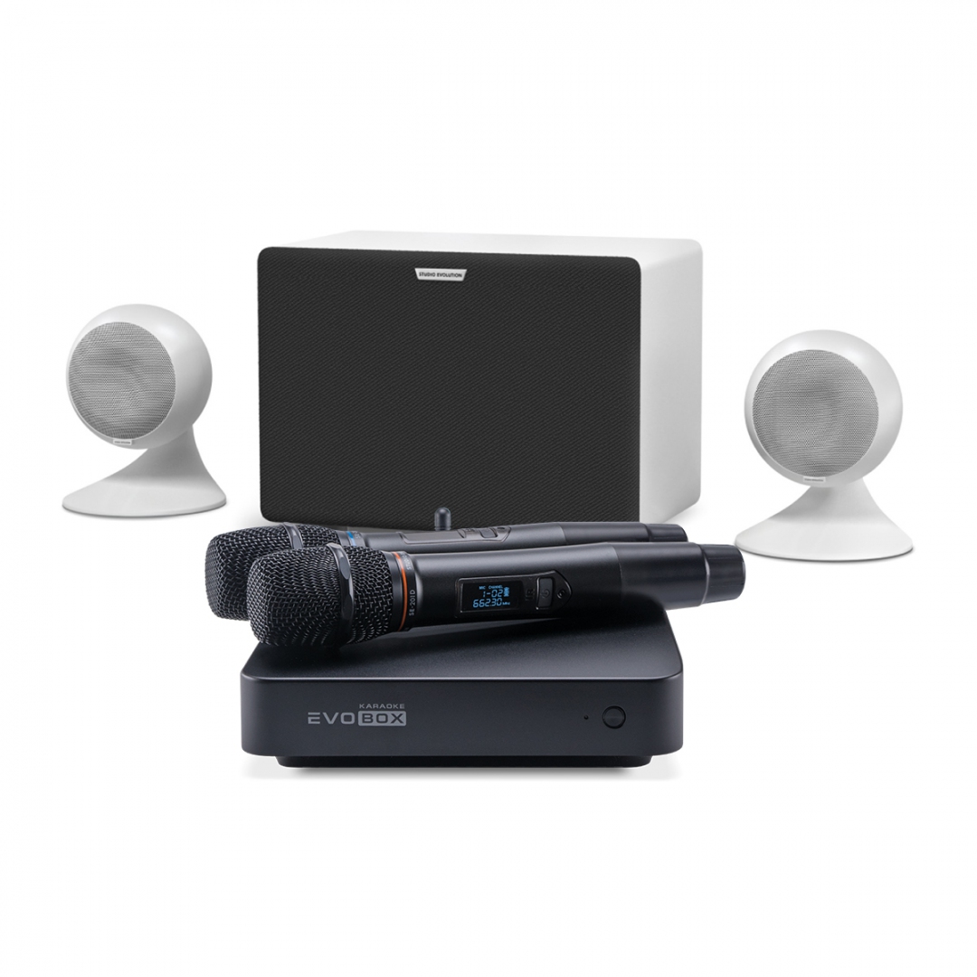 караоке-комплект EVOBOX Classic + EvoSound Sphere 2.1 в Ярославской области