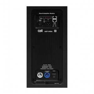Активная акустическая система AST-310A в Ярославской области