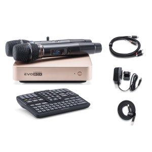 EVOBOX Classic караоке-система для дома в Ярославской области