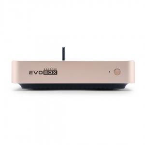 EVOBOX Plus караоке-система для дома в Ярославской области